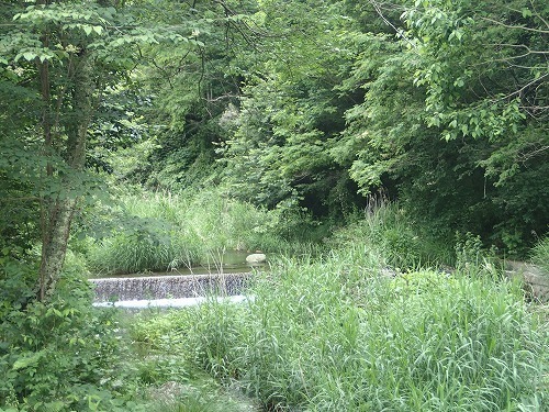 chi0627a.jpg
