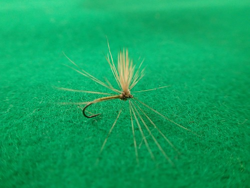 hc0201e2.jpg