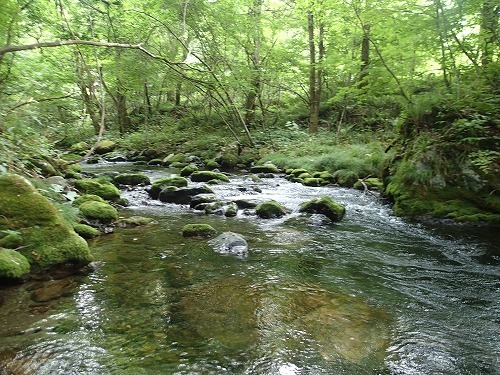kawa0718a.jpg