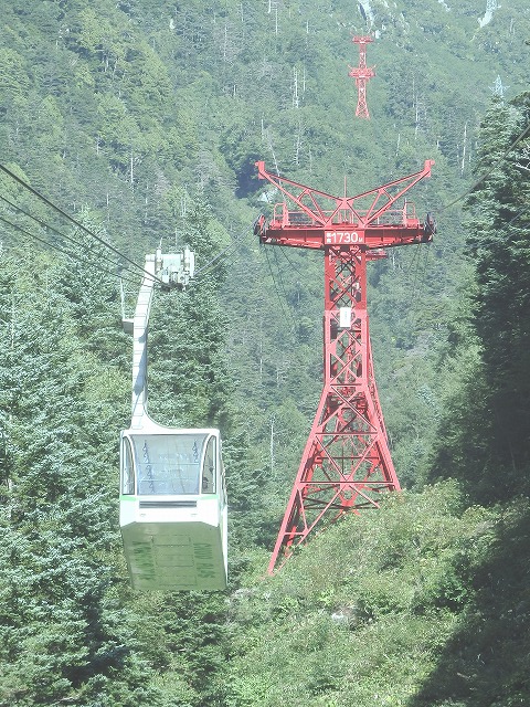 sen0909c.jpg