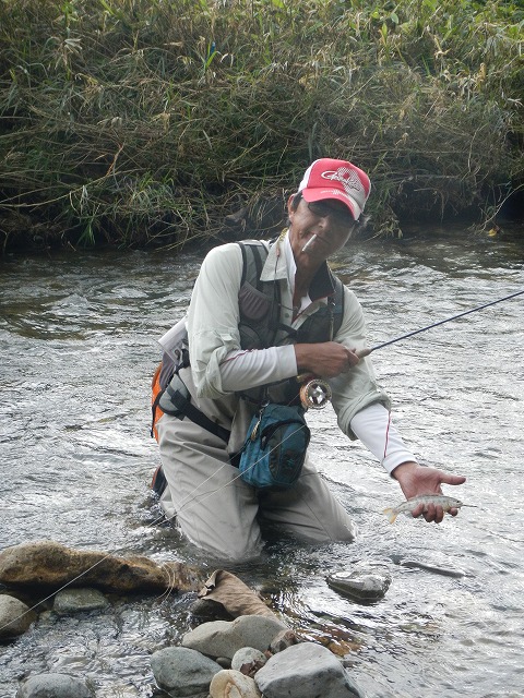 waga0925d.jpg